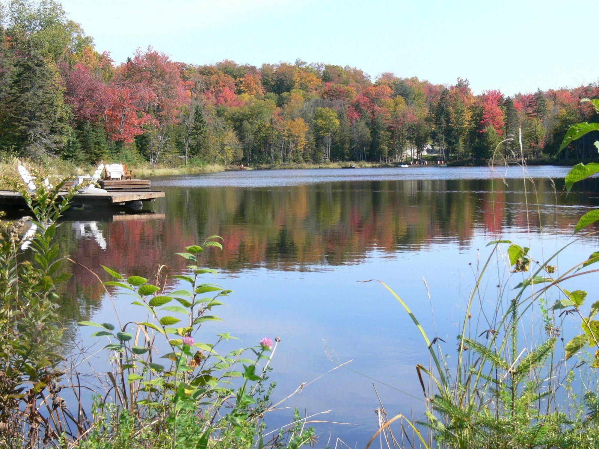 Blueberry Lake Resort Labelle Eksteriør bilde